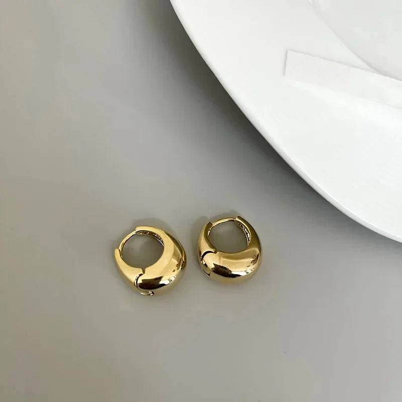 S925 Classy Hoop Dainty Earrings