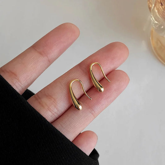 S925 Dainty Droplet Hook Earrings