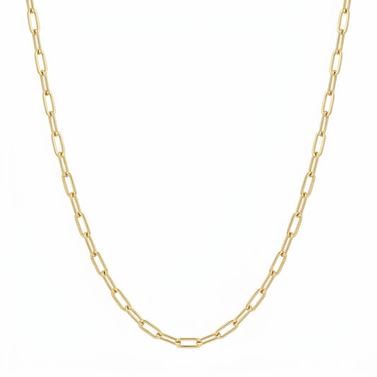 Veinci Classics Paperclip Necklace
